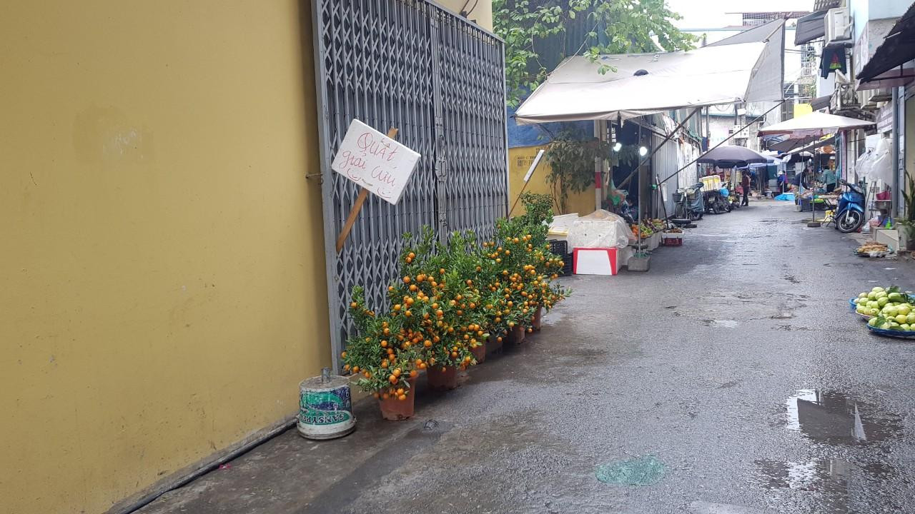 Dù mới đến Rằm tháng Chạp nhưng tại ngõ chợ Nguyễn Văn Cừ (Long Biên, Hà Nội) xuất hiện những tấm biển bán quất giải cứu 150.000 đồng/cây. Dù mới đến Rằm tháng Chạp nhưng tại ngõ chợ Nguyễn Văn Cừ (Long Biên, Hà Nội) xuất hiện những tấm biển bán quất giải cứu 150.000 đồng/cây.