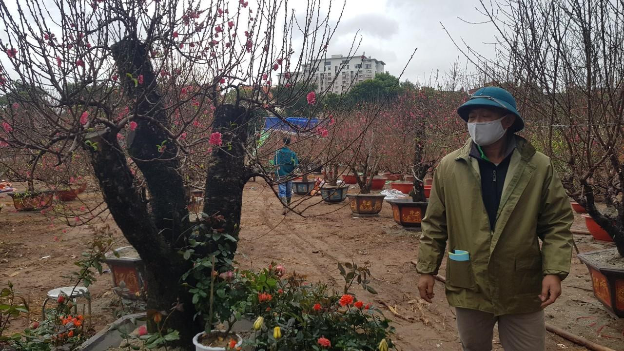 Anh Nguyễn Văn Thiết (Giang Biên, Long Biên, Hà Nội) bên cây đào thế giá 14 triệu đồng chia sẻ: "Năm nay tôi cũng dự đoán được tình hình khó khăn hơn năm ngoái do dịch bệnh nên chỉ dám buôn vài cây đào thế và đào rừng. Giá đào không tăng so với năm ngoái. Với cây đào thế này, khách mua giá 14 triệu đồng nhưng khách thuê chỉ khoảng 9 triệu đồng. Đến giờ này, tôi vẫn đang ngóng cả khách mua và khách thuê". Theo anh Thiết, năm ngoái anh buôn vài trăm cây đào và đêm 30 Tết dù giảm giá nhưng vẫn mang về 1/3 số đào. "Năm nay, tôi buôn ít hơn mà hy vọng những ngày tới khách đến mua đông hơn để không phải mang đào về vườn như năm ngoái", anh Thiết nói. Anh Nguyễn Văn Thiết (Giang Biên, Long Biên, Hà Nội) bên cây đào thế giá 14 triệu đồng chia sẻ: "Năm nay tôi cũng dự đoán được tình hình khó khăn hơn năm ngoái do dịch bệnh nên chỉ dám buôn vài cây đào thế và đào rừng. Giá đào không tăng so với năm ngoái. Với cây đào thế này, khách mua giá 14 triệu đồng nhưng khách thuê chỉ khoảng 9 triệu đồng. Đến giờ này, tôi vẫn đang ngóng cả khách mua và khách thuê". Theo anh Thiết, năm ngoái anh buôn vài trăm cây đào và đêm 30 Tết dù giảm giá nhưng vẫn mang về 1/3 số đào. "Năm nay, tôi buôn ít hơn mà hy vọng những ngày tới khách đến mua đông hơn để không phải mang đào về vườn như năm ngoái", anh Thiết nói.