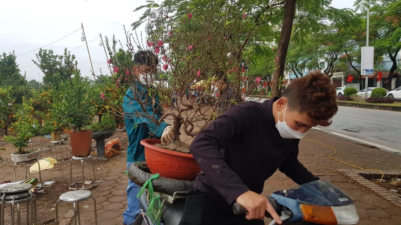 Cây đào 450.000 đồng được 1 khách vừa đặt mua bao gồm cả tiền công mang đến tận nhà. Anh Nguyễn Minh Trung, người buôn đào cho biết: "Rằm tháng Chạp năm ngoái, người dân mua tấp nập để chơi đào sớm nhưng năm nay chậm hơn. Cả buổi sáng tôi bán được 1 cây đào. Tình hình buôn bán ế ẩm hơn mọi năm". Cây đào 450.000 đồng được 1 khách vừa đặt mua bao gồm cả tiền công mang đến tận nhà. Anh Nguyễn Minh Trung, người buôn đào cho biết: "Rằm tháng Chạp năm ngoái, người dân mua tấp nập để chơi đào sớm nhưng năm nay chậm hơn. Cả buổi sáng tôi bán được 1 cây đào. Tình hình buôn bán ế ẩm hơn mọi năm".