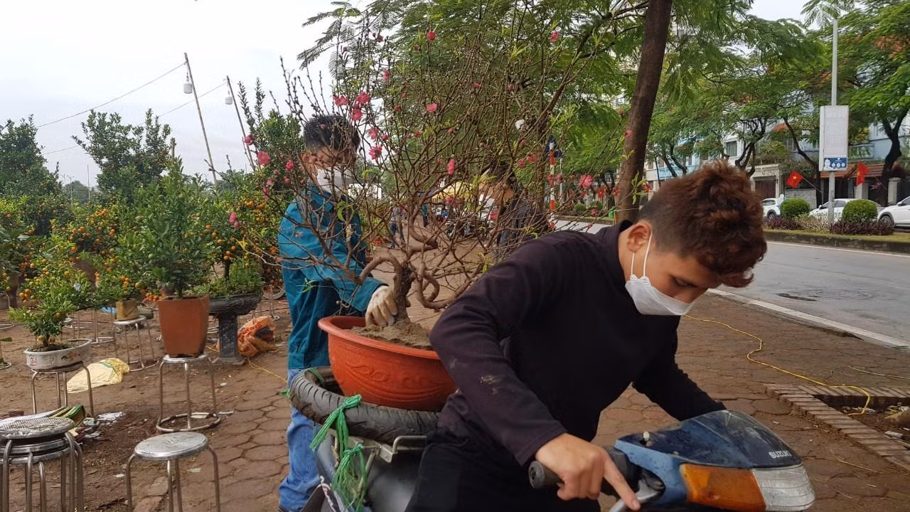 Cây đào 450.000 đồng được 1 khách vừa đặt mua bao gồm cả tiền công mang đến tận nhà. Anh Nguyễn Minh Trung, người buôn đào cho biết: "Rằm tháng Chạp năm ngoái, người dân mua tấp nập để chơi đào sớm nhưng năm nay chậm hơn. Cả buổi sáng tôi bán được 1 cây đào. Tình hình buôn bán ế ẩm hơn mọi năm". Cây đào 450.000 đồng được 1 khách vừa đặt mua bao gồm cả tiền công mang đến tận nhà. Anh Nguyễn Minh Trung, người buôn đào cho biết: "Rằm tháng Chạp năm ngoái, người dân mua tấp nập để chơi đào sớm nhưng năm nay chậm hơn. Cả buổi sáng tôi bán được 1 cây đào. Tình hình buôn bán ế ẩm hơn mọi năm".