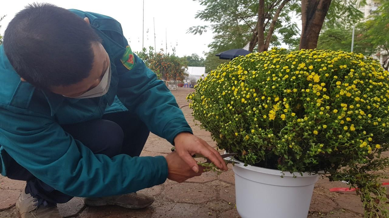 Cúc mâm xôi cả chậu giá 250.000 đồng được tỉa nắn nót ngóng khách ngày Rằm. Cúc mâm xôi cả chậu giá 250.000 đồng được tỉa nắn nót ngóng khách ngày Rằm.