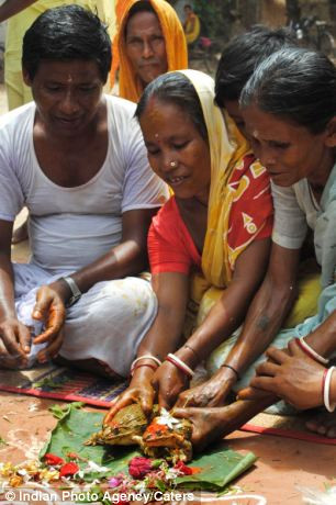 Sau lễ thành hôn, hai chú ếch được thả xuống sông