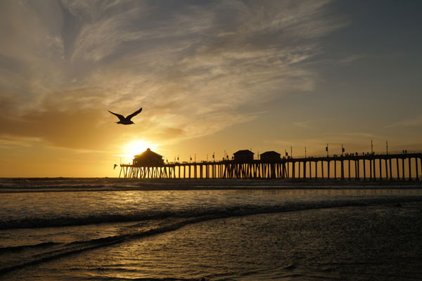 Với khí hậu mùa đông ôn hòa, ít mưa và nhiều ánh nắng mặt trời, không có gì lạ khi California (Mỹ) được gọi là Tiểu bang Vàng (Golden State). Với thời tiết đẹp như vậy, bạn có thể thuê một chiếc mui trần và du lịch ven bờ biển Thái Bình Dương hay đến với thành phố biển Pacific Grove để chiêm ngưỡng cuộc di cư hàng năm của bướm Monarch trong khoảng thời gian từ tháng 10 đến tháng 2. Bạn cũng có thể ghém thăm những trang trại nho và thưởng thức rượu vang khi đến đây