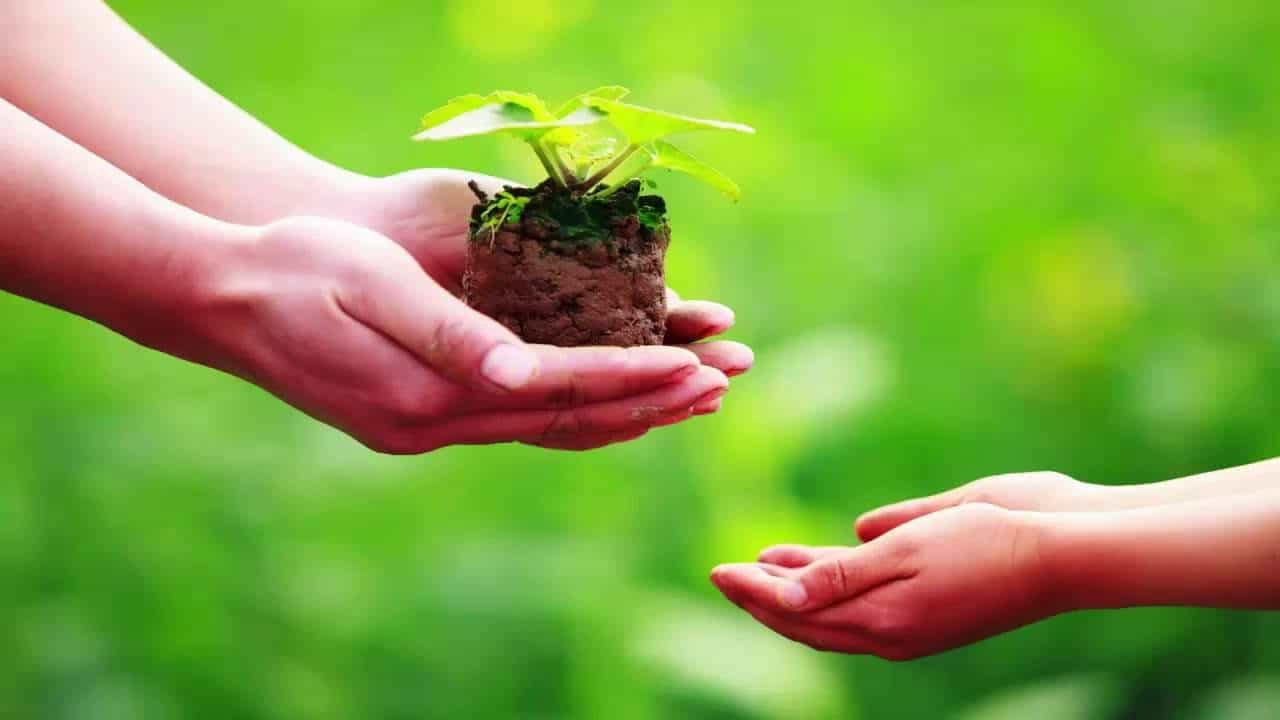 Chia sẻ sẽ khiến bạn tìm được cảm giác ấm áp trong những ngày tâm trạng lạnh buốt. Chia sẻ sẽ khiến bạn tìm được cảm giác ấm áp trong những ngày tâm trạng lạnh buốt.