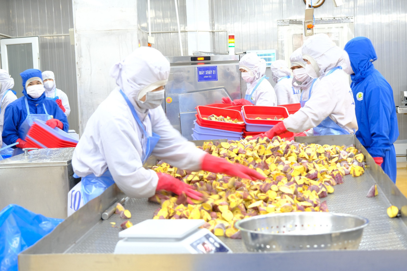 Dây chuyền sản xuất của Công ty Viên Sơn, huyện Đức Trọng, tỉnh Lâm Đồng.