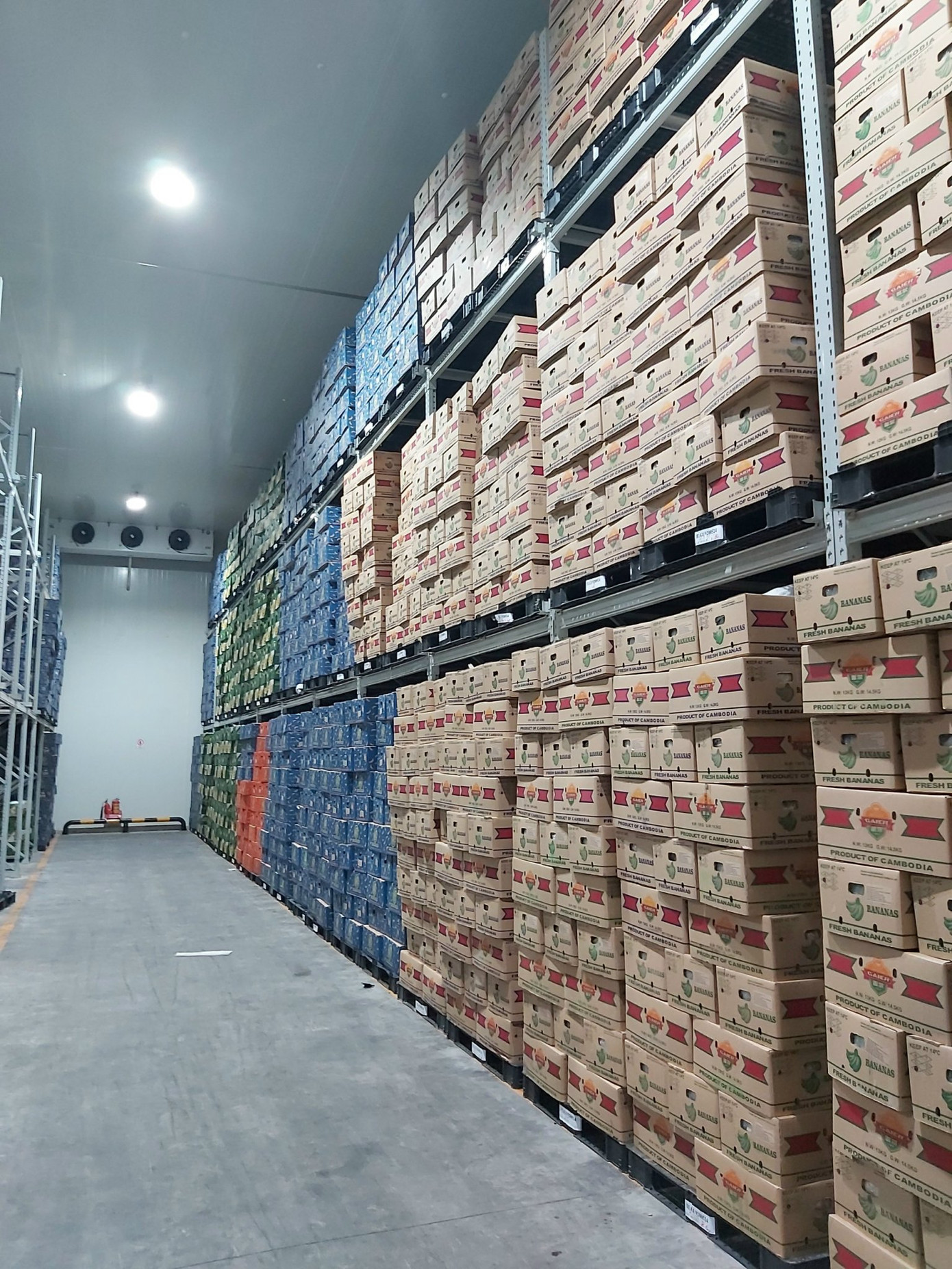 Kho lạnh lưu trữ hàng nông sản tại Cảng Chu Lai Kho lạnh lưu trữ hàng nông sản tại Cảng Chu Lai