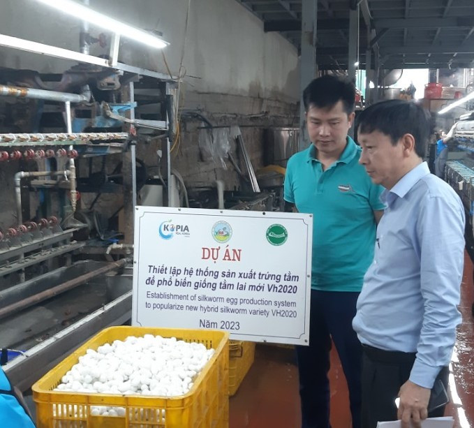 Lãnh đạo Trung Tâm Nghiên cứu Dâu Tằm Tơ Trung Ương thăm và làm việc tại nhà máy của Công ty Nam Ban Silk