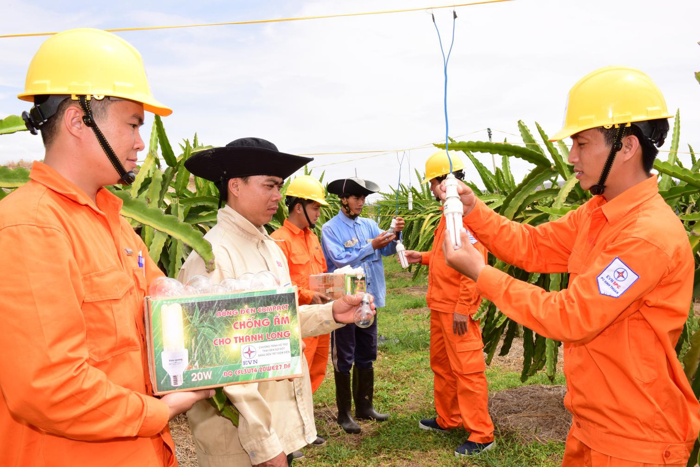 Nhân viên Công ty Điện lực Bình Thuận (đơn vị thuộc EVNSPC) hướng dẫn người dân sử dụng thiết bị điện tiết kiệm điện