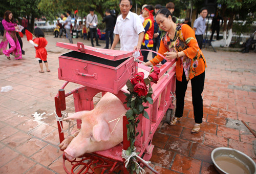 Cảnh hành quyết 'ông ỉn' trong lễ hội chém lợn Ném Thượng ảnh 12