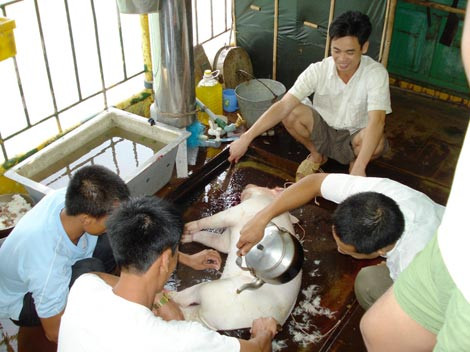  Những chuyến tàu 'xông biển' đầu năm ảnh 1