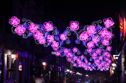 Tết Việt Online: Khắp nơi tưng bừng đón năm mới ảnh 46