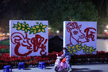 Tết Việt Online: Khắp nơi tưng bừng đón năm mới ảnh 56