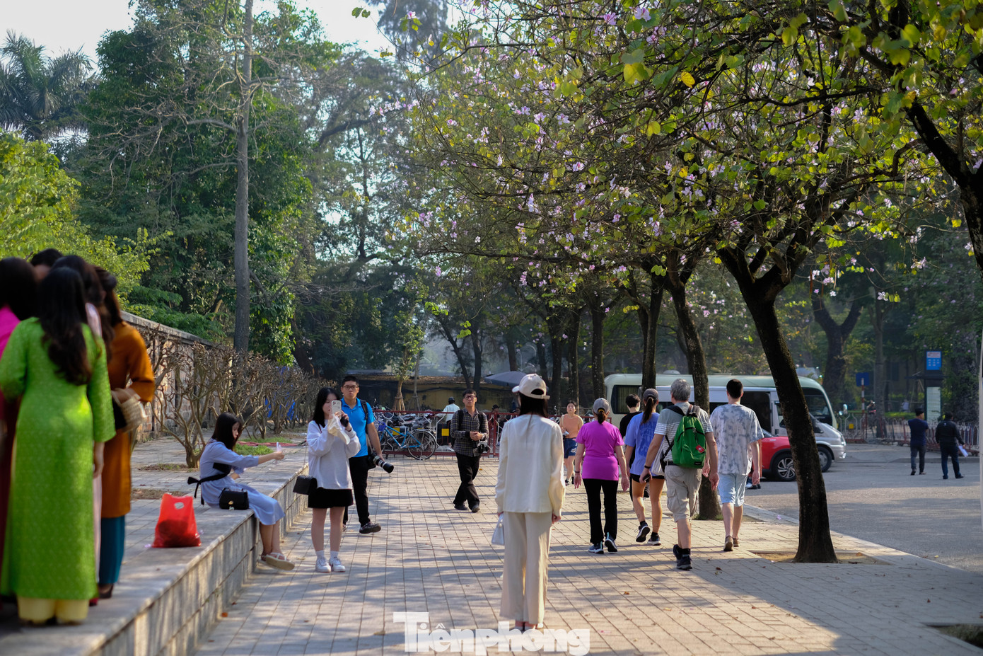 Tia nắng ấm xuất hiện trong những ngày đầu tháng 3 khiến người dân đua nhau check-in tại hàng cây hoa ban bên đường Hoàng Diệu, Hà Nội.