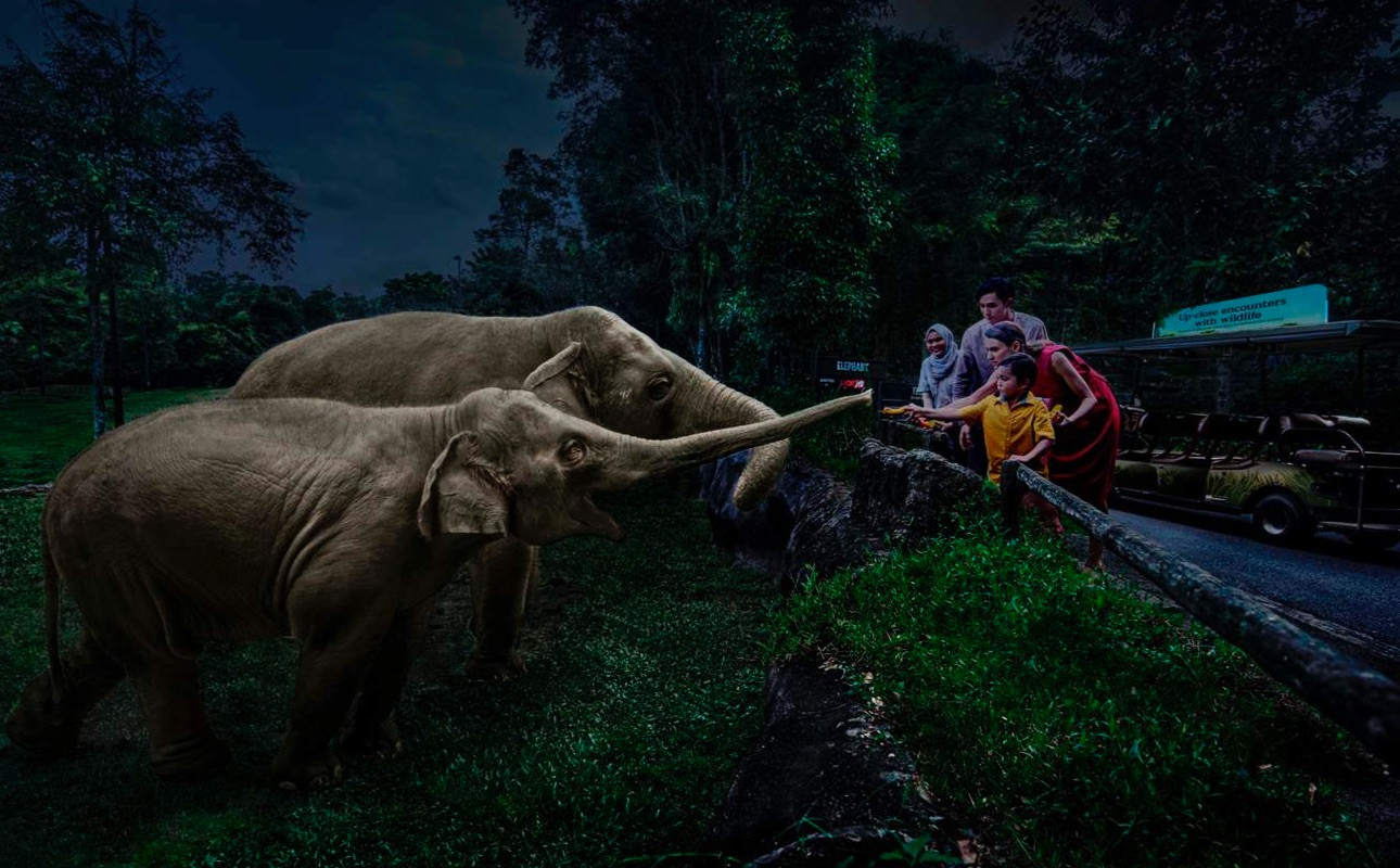 Công viên Night Safari ở Singapore. Công viên Night Safari ở Singapore.