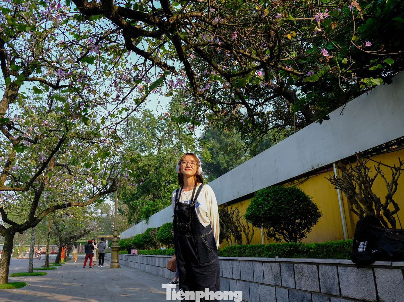 Hoa ban trở nên hấp dẫn nhiều lứa tuổi bởi vẻ đẹp tinh khiết.