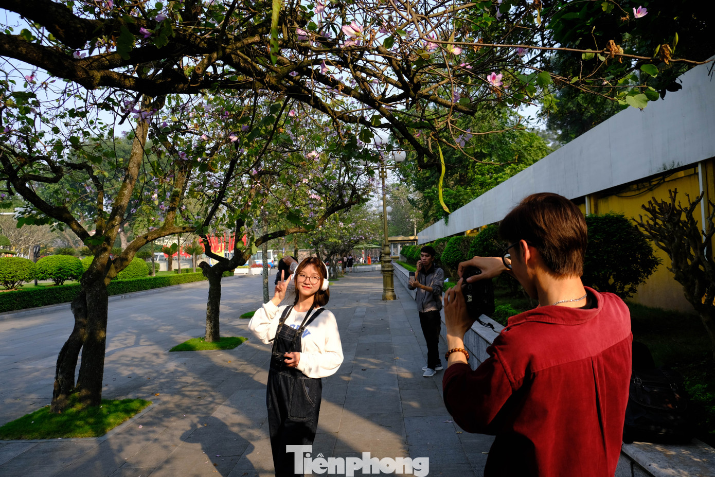 Anh Tùng - thợ ảnh làm việc quận Thanh Xuân, Hà Nội - cho biết "Sau đợt Tết bận rộn, người làm nghề chúng tôi bắt đầu chuẩn bị máy móc, thiết bị để nhận khách chụp ảnh hoa ban. Việc Hà Nội có nhiều cây hoa nở quanh năm cũng một phần giúp chúng tôi có thu nhập ổn định theo từng thời điểm".