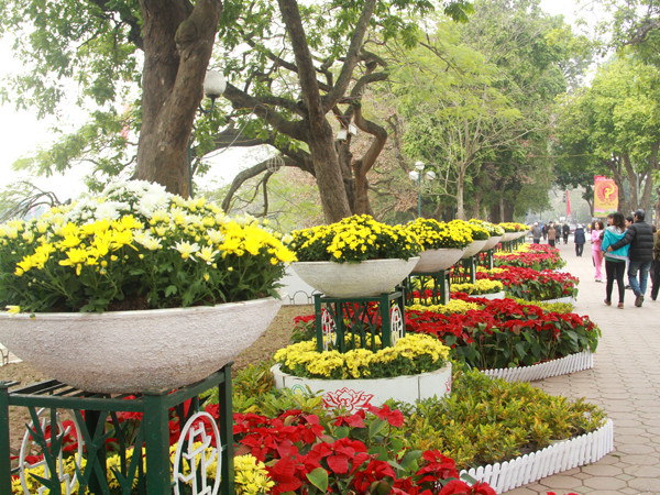 Quang cảnh Hồ Gươm xuân sắc hơn với những chậu hoa