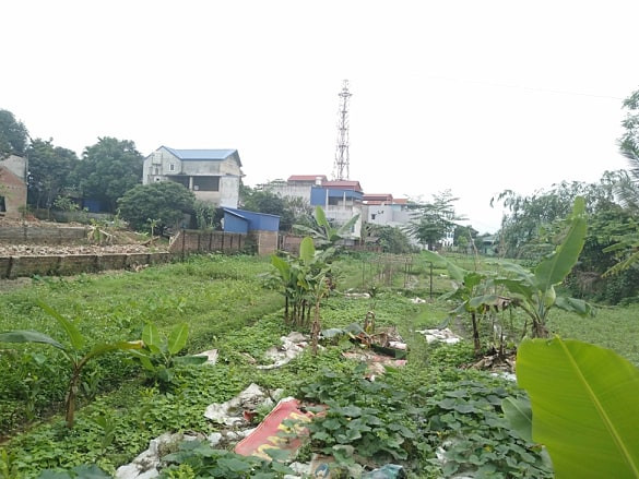 Cận cảnh con đường bị nắn để làm sân tennis cho Thị ủy ảnh 3