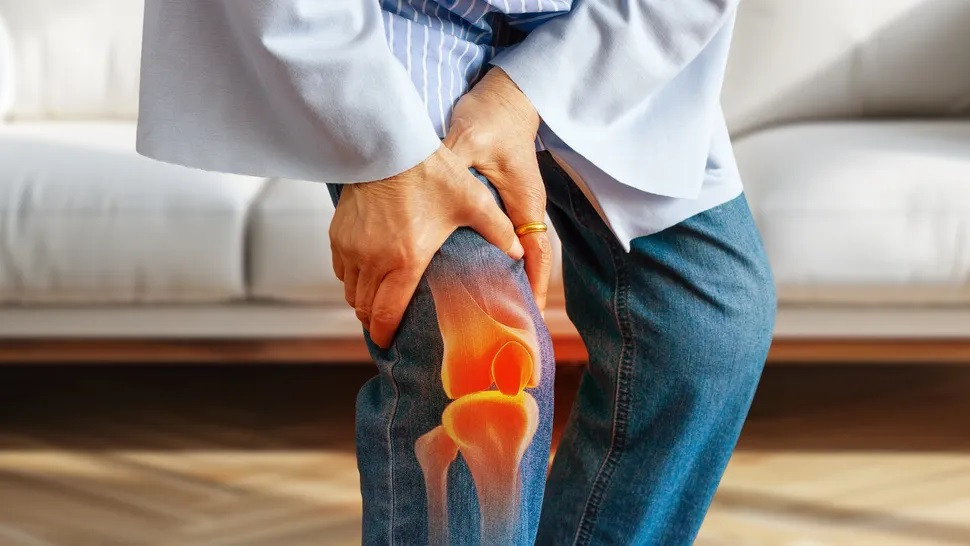 Đầu gối của bạn đã tiến hóa để phù hợp với một lối sống khác.(Ảnh: NoonBuSin) Đầu gối của bạn đã tiến hóa để phù hợp với một lối sống khác.(Ảnh: NoonBuSin)