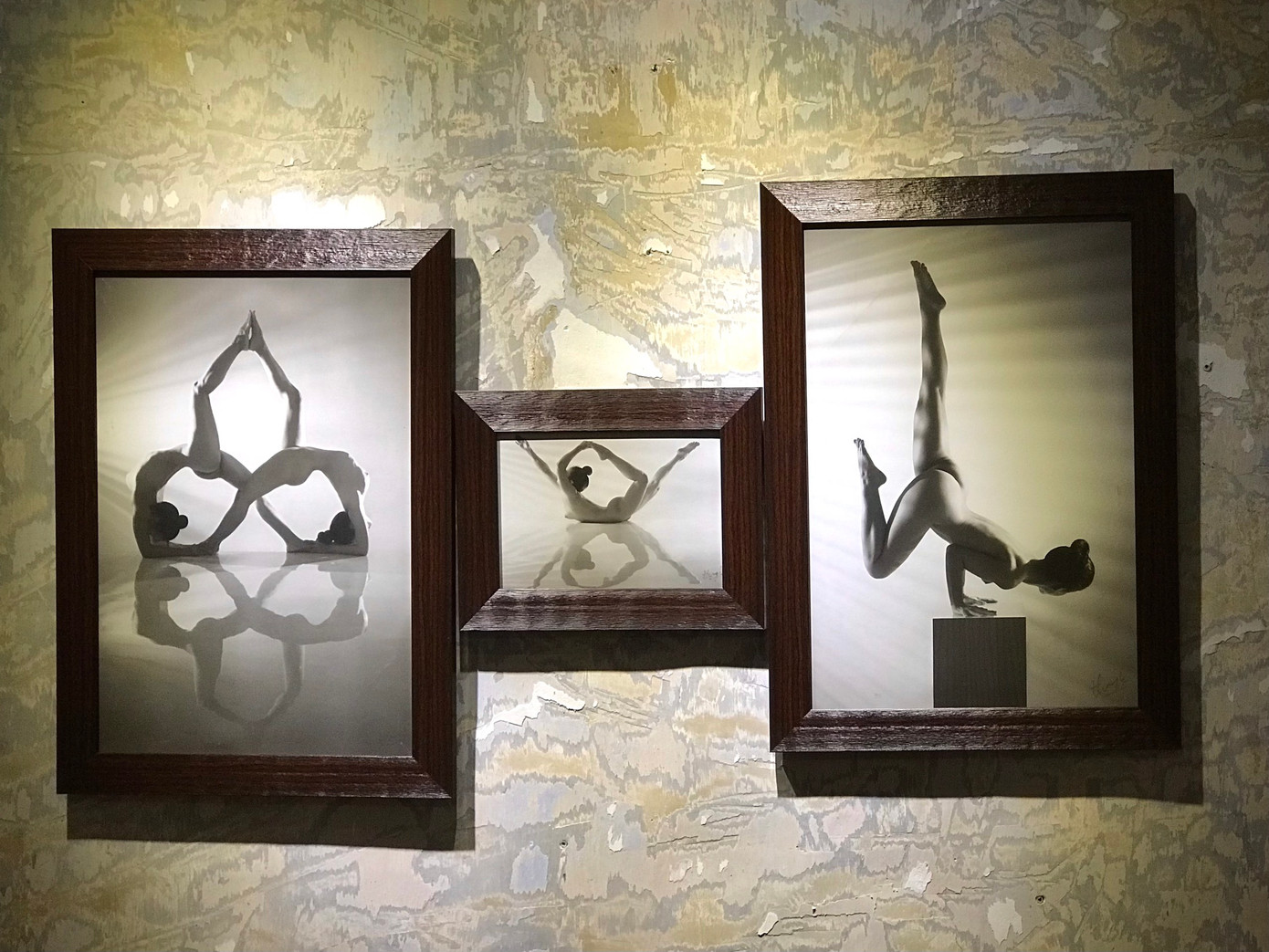 Một số bức ảnh được nhiếp ảnh gia Thái Phiên chọn triển lãm ở Đà Lạt. Ảnh: NVCC.