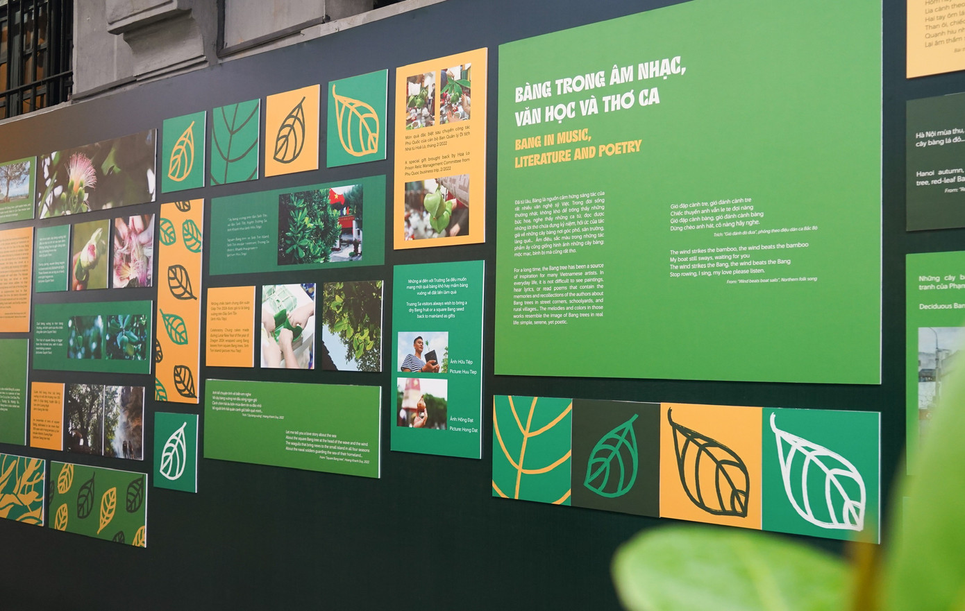 Bàng ơi…! cũng là lời tri ân, tưởng nhớ công lao, sự hy sinh anh dũng của các chiến sĩ yêu nước, cách mạng bị thực dân Pháp bắt giam tại Nhà tù Hỏa Lò. Sau khi thoát khỏi đây nhiều chiến sĩ đã tham gia vào sự nghiệp cách mạng của dân tộc, cống hiến cho công cuộc giải phóng Thủ đô và đất nước.