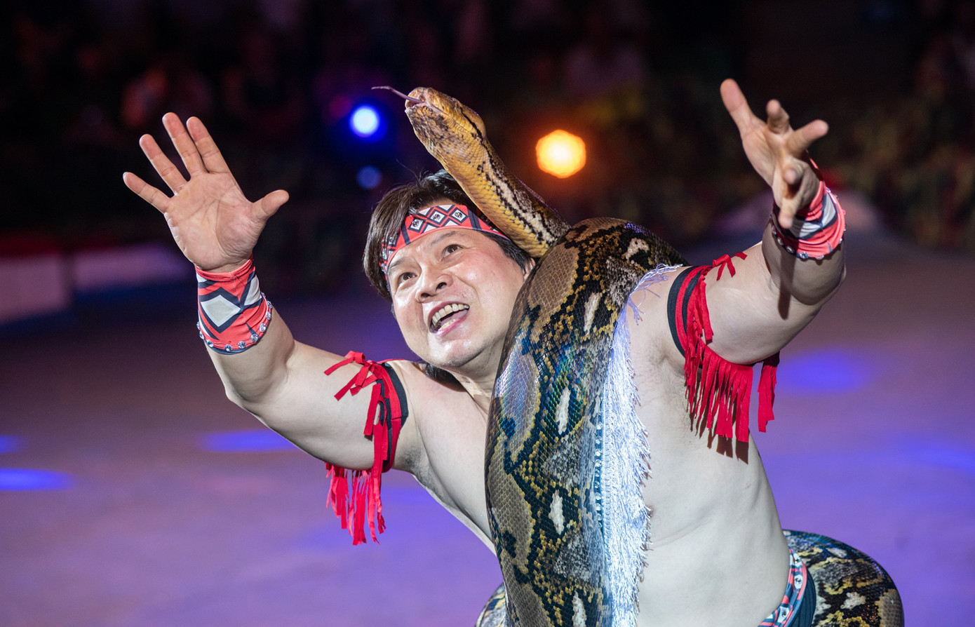 NSND Tống Toàn Thắng - Giám đốc Liên đoàn Xiếc Việt Nam - khẳng định liên đoàn chưa thực hiện chuyển khoản bất kỳ khoản tiền nào.