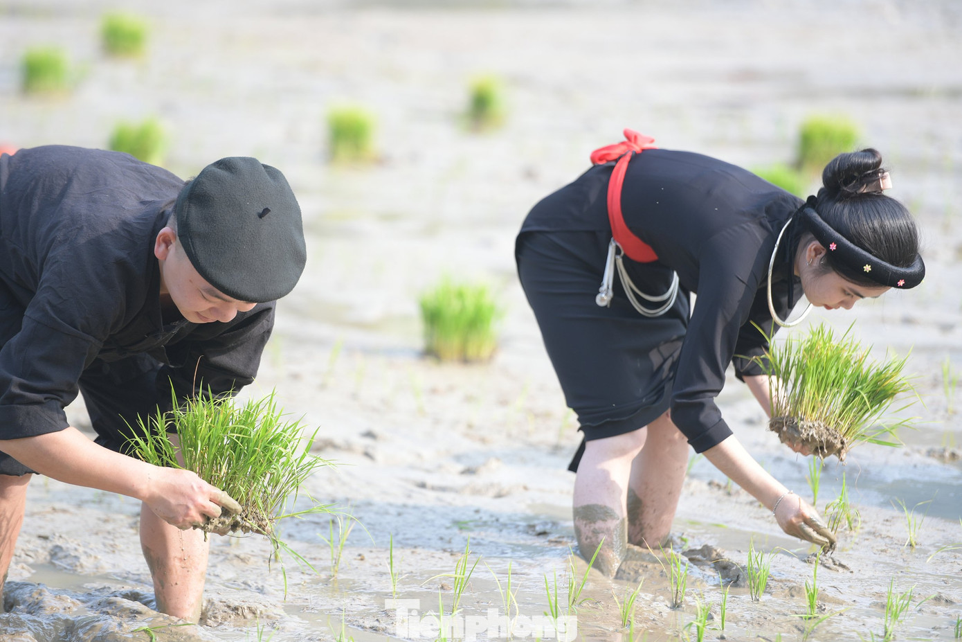 Lễ hội thường niên lần này mang đậm bản sắc truyền thống của các dân tộc Tày, Dao, Mông, Pà Thẻn… với các hoạt động như hát các làn điệu truyền thống Then, Cọi, Páo dung. Một trong những nghi lễ quan trọng mang đậm bản sắc của các cư dân lúa nước đó là nghi lễ cày Tịch điền. Tại lễ hội, lãnh đạo địa phương thực hiện nghi lễ cày Tịch điền để lấy may, cầu phúc cho nhân dân và mùa màng.