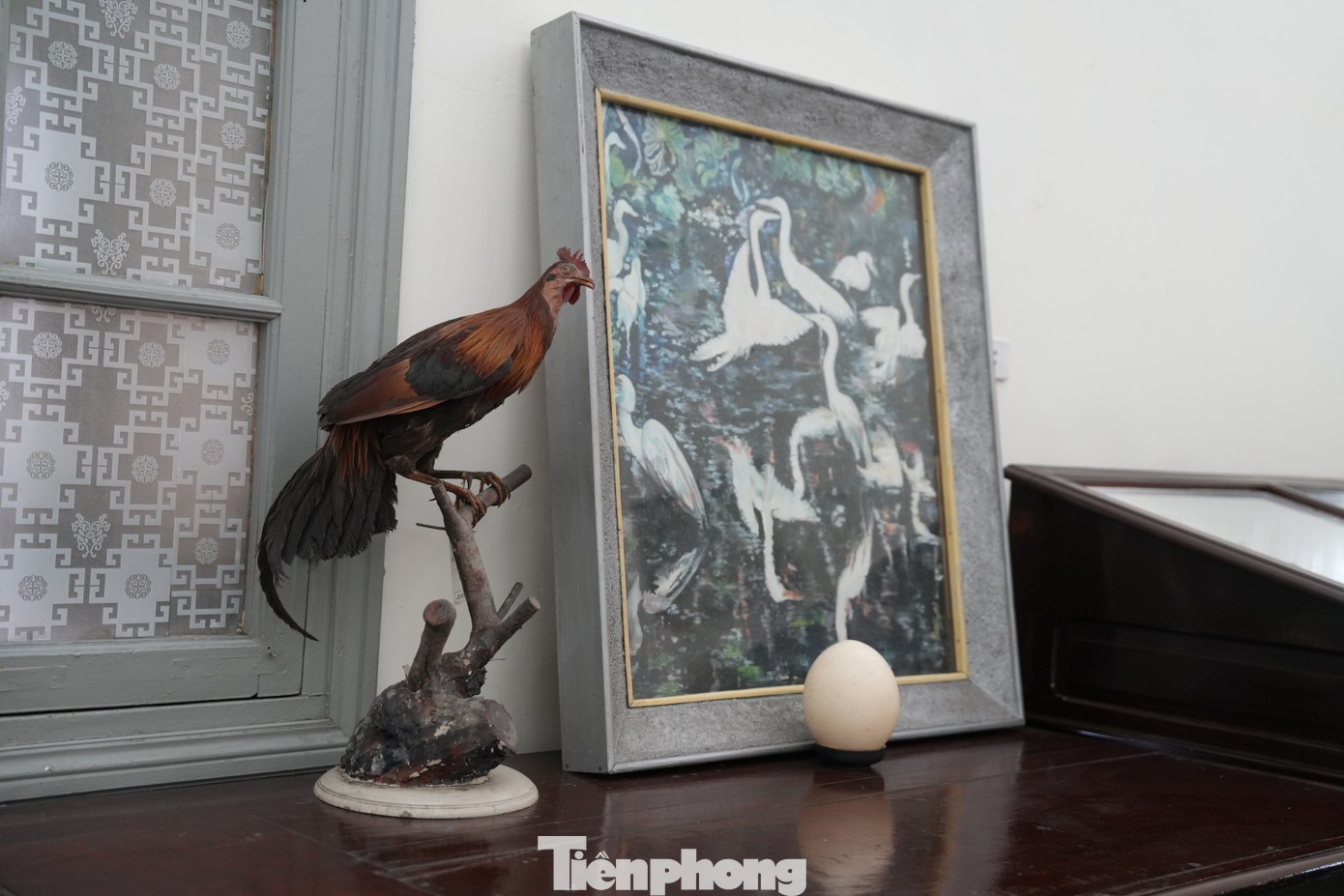 Đây là những tác phẩm tranh lụa vẽ hóa thạch côn trùng và động vật, sắp đặt ánh sáng bằng giấy tương tác với các mẫu vật ở bảo tàng... Và tỏa ra bên ngoài tòa nhà là tác phẩm Letters - Sciences - Arts (Văn chương - Khoa học - Nghệ thuật), lấy cảm hứng từ triết lý và định hướng đào tạo đa ngành, liên ngành của Đại học Đông Dương xưa.