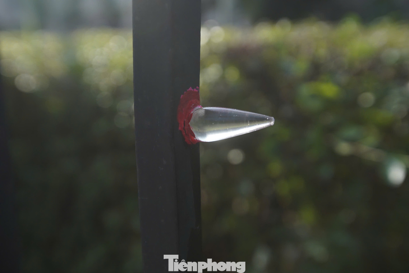 Đại diện thiết kế dự án cho biết, việc trang trí lại những vết đạn này để tạo nên sự tươi mới, trẻ trung và cũng là cách giúp du khách hình dung rõ ràng hơn về dấu ấn lịch sử hào hùng của cha ông.