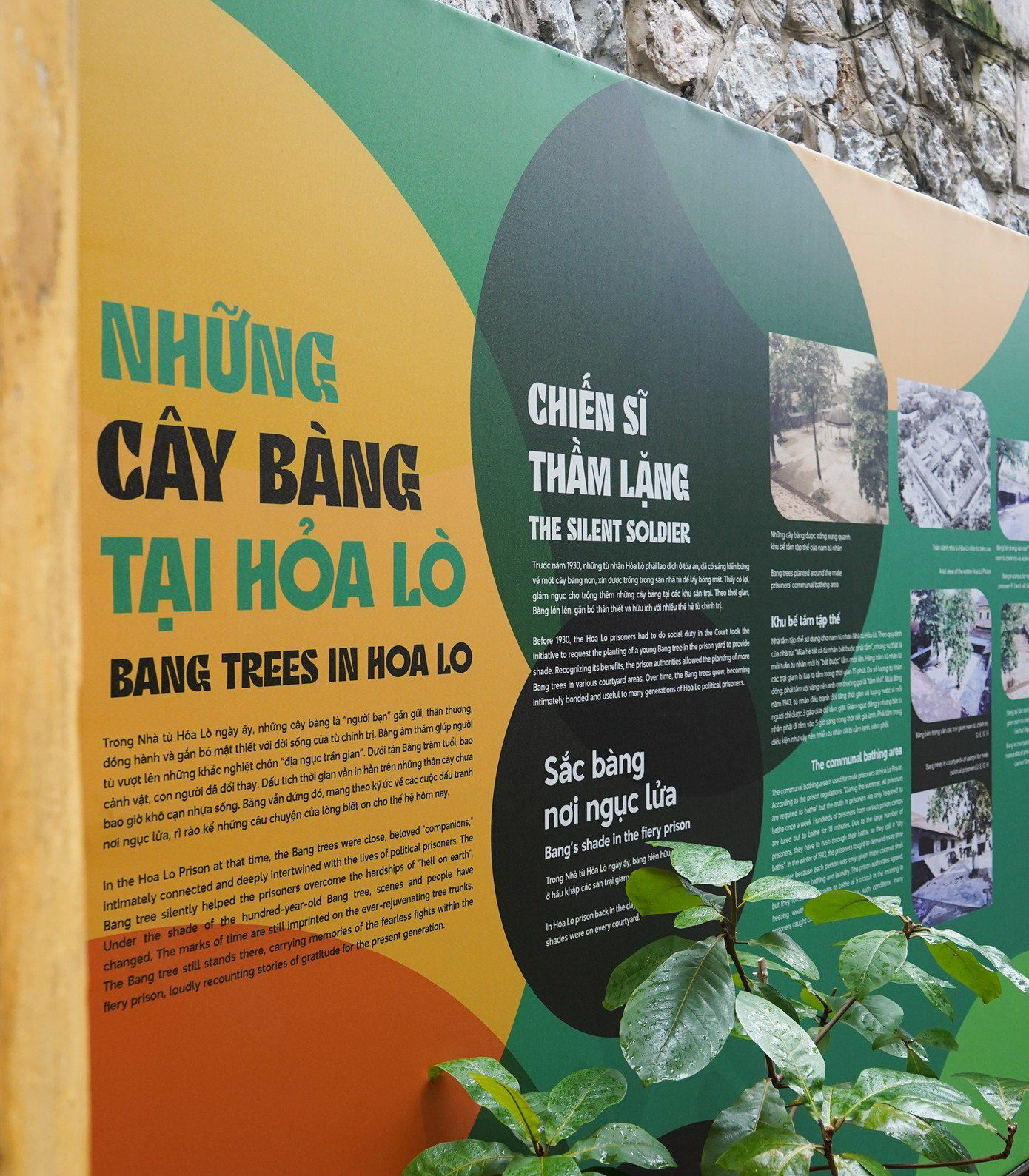 Trưng bày Bàng ơi…! giới thiệu câu chuyện về Những cây bàng trong Nhà tù Hỏa Lò, Bàng nơi đảo xa và Bàng trong thơ ca, hội họa… giúp mọi người hiểu và thêm yêu loài cây bình dị, dù sinh trưởng trong điều kiện khắc nghiệt vẫn mạnh mẽ vươn lên, tỏa bóng mát xanh.