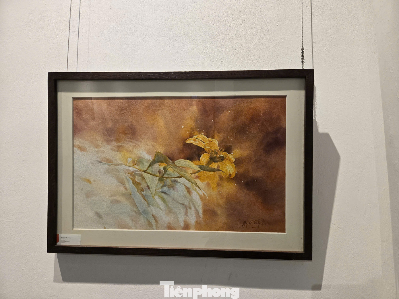 Triển lãm nghệ thuật Họa cam thảnh cảm được thực hiện nhằm huy động quyên góp vào quỹ giúp đỡ các nạn nhân chất độc màu da cam. Ảnh: Gia Linh. Triển lãm nghệ thuật Họa cam thảnh cảm được thực hiện nhằm huy động quyên góp vào quỹ giúp đỡ các nạn nhân chất độc màu da cam. Ảnh: Gia Linh.