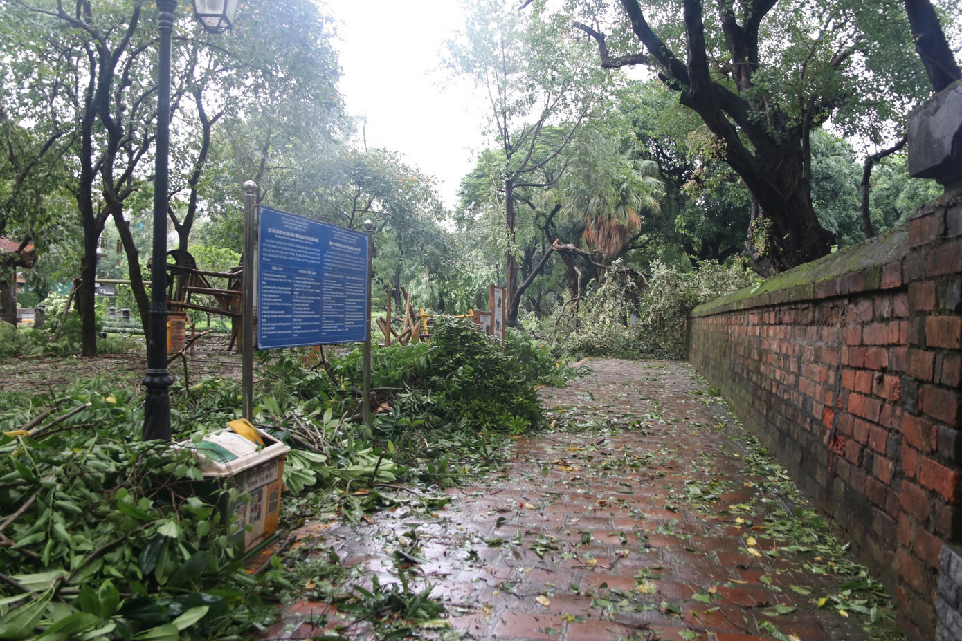 Khu di tích Văn Miếu - Quốc Tử Giám ngổn ngang sau khi bão Yagi đổ bộ.