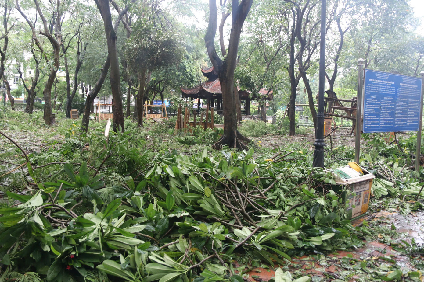 Khu di tích Văn Miếu - Quốc Tử Giám ngổn ngang sau khi bão Yagi đổ bộ.