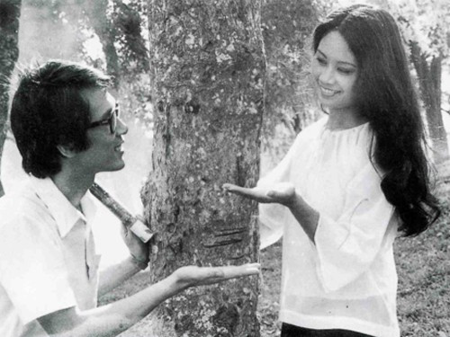 Hãng phim truyện Việt Nam chính là anh Cả của nền điện ảnh Cách mạng Việt Nam. Hãng phim truyện Việt Nam chính là anh Cả của nền điện ảnh Cách mạng Việt Nam.