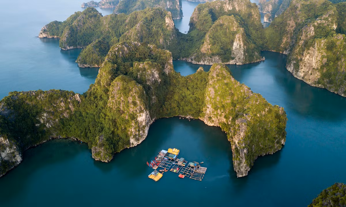 Việt Nam được coi là hình mẫu hợp tác với UNESCO và các Cơ quan tư vấn của UNESCO và là trường hợp điển hình của việc bảo tồn di sản thế giới. Việt Nam được coi là hình mẫu hợp tác với UNESCO và các Cơ quan tư vấn của UNESCO và là trường hợp điển hình của việc bảo tồn di sản thế giới.
