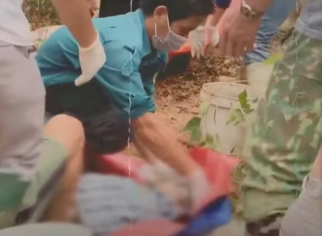 Những thiệt hại do cơn bão YAGI gây ra là không thể đong đếm nổi.