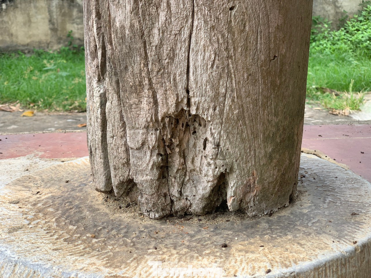 Hàng loạt di tích xuống cấp chờ tôn tạo. Ảnh: Hoài Nam. Hàng loạt di tích xuống cấp chờ tôn tạo. Ảnh: Hoài Nam.