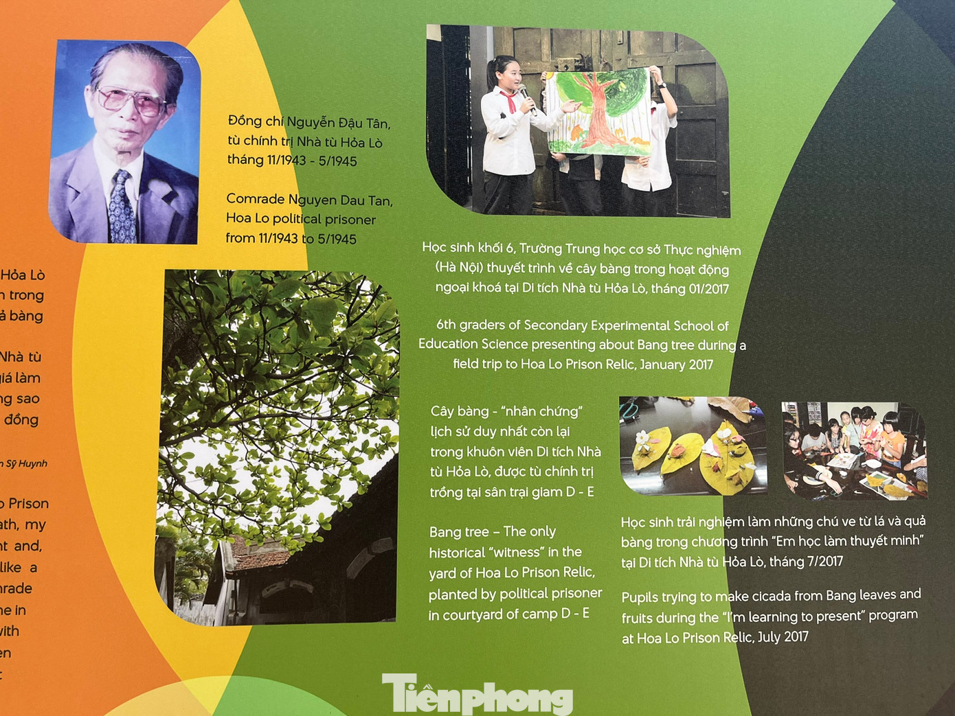 Trưng bày được chia làm hai phần Những cây bàng trong Nhà tù Hỏa Lò và Bàng ơi!. Người xem được nhìn lại những cây bàng trong Nhà tù Hỏa Lò năm xưa - những người bạn thân thiết của cựu tù chính trị. Gốc bàng là nơi đặt hòm thư mật của tù nhân, cành bàng trở thành tẩu thuốc, đũa ăn cơm, thậm chí là nhạc cụ, lá bàng là nguồn dược liệu quý, quả bàng là “thần dược”, “nguồn vitamin”, là “thuốc bổ hồi sinh”.