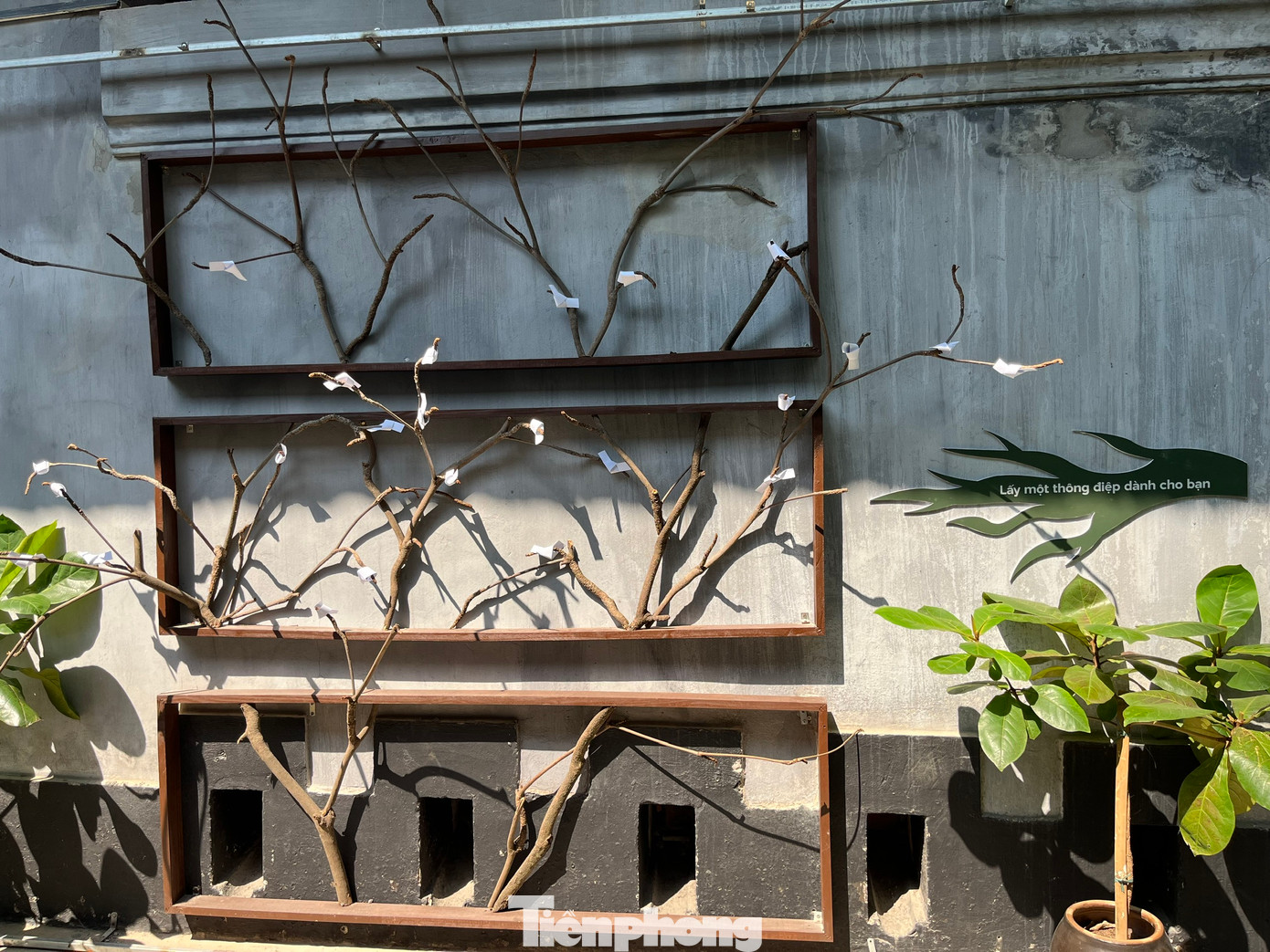 Trưng bày cũng có phần tương tác trực tiếp dành cho khách tham quan. Mỗi du khách có thể chọn cho mình một thông điệp về sự kiên cường, bất khuất... cho bản thân.