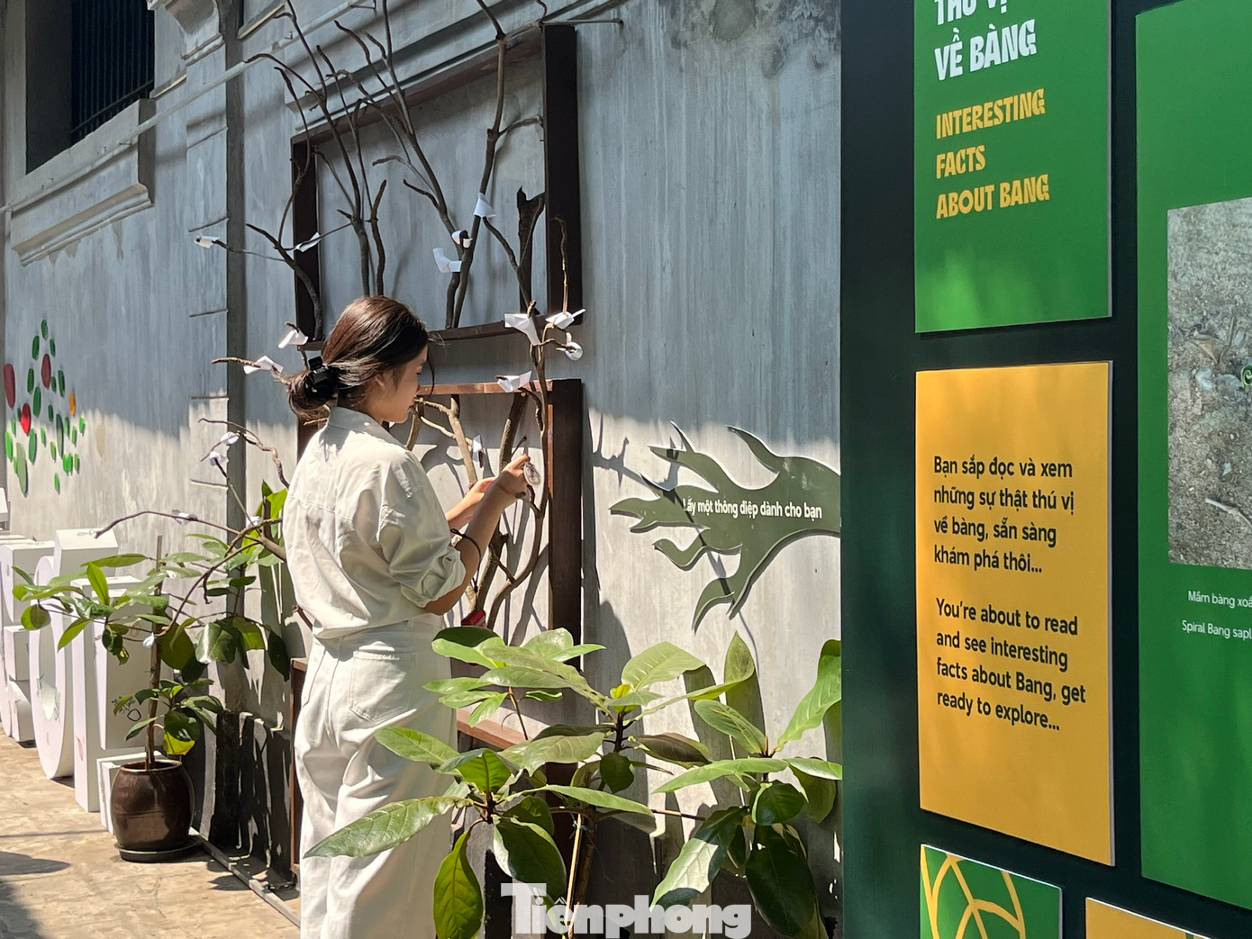 Trưng bày cũng có phần tương tác trực tiếp dành cho khách tham quan. Mỗi du khách có thể chọn cho mình một thông điệp về sự kiên cường, bất khuất... cho bản thân.