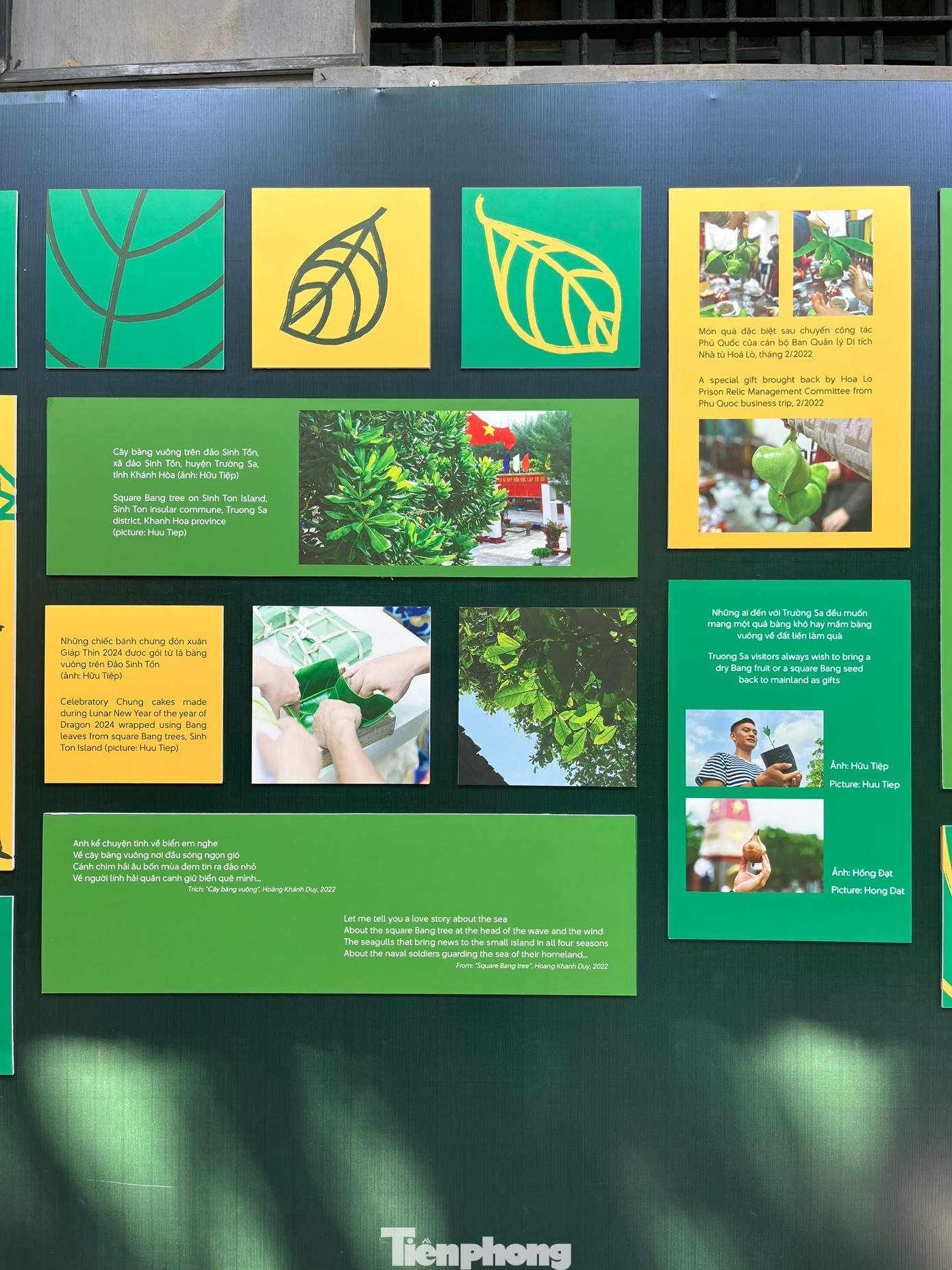 Bàng ơi! tập trung giới thiệu những hình ảnh loài cây này trong đời sống thường nhật. Bàng xuất hiện trong những câu hát, vần thơ… Tại nơi hải đảo xa xôi, bàng trở thành biểu tượng cho ý chí kiên cường, tinh thần bất khuất của tù chính trị Nhà tù Côn Đảo, của chiến sĩ hải quân. Trưng bày được thiết kế theo bảng màu chủ đạo với sắc xanh - vàng, lấy cảm hứng từ những gam màu của lá bàng theo bốn mùa trong năm.