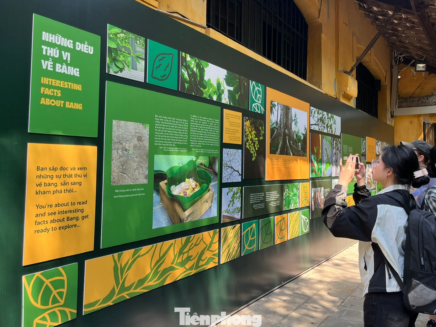 Bạn Hoàng Thị Phương Anh (Học viện Báo chí và Tuyên truyền) khẳng định triển lãm giúp mình hiểu hơn những khó khăn gian khổ của những nhà cách mạng, hiểu hơn về cây bàng đặc biệt ở Nhà tù Hỏa Lò.