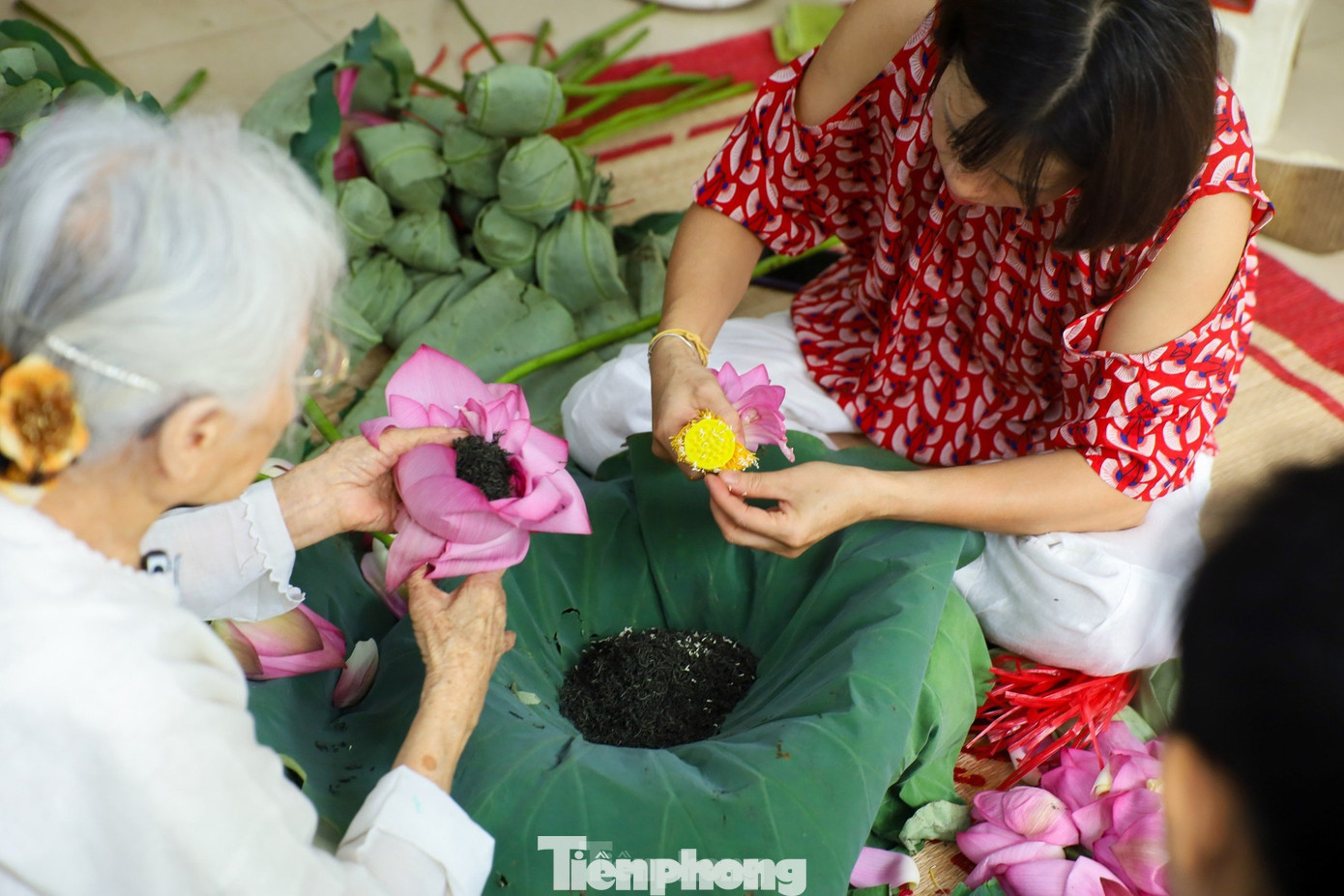 Nghề ướp trà sen Quảng An (Tây Hồ, TP. Hà Nội) được công nhận là di sản văn hóa phi vật thể quốc gia. Ảnh: Trọng Tài.