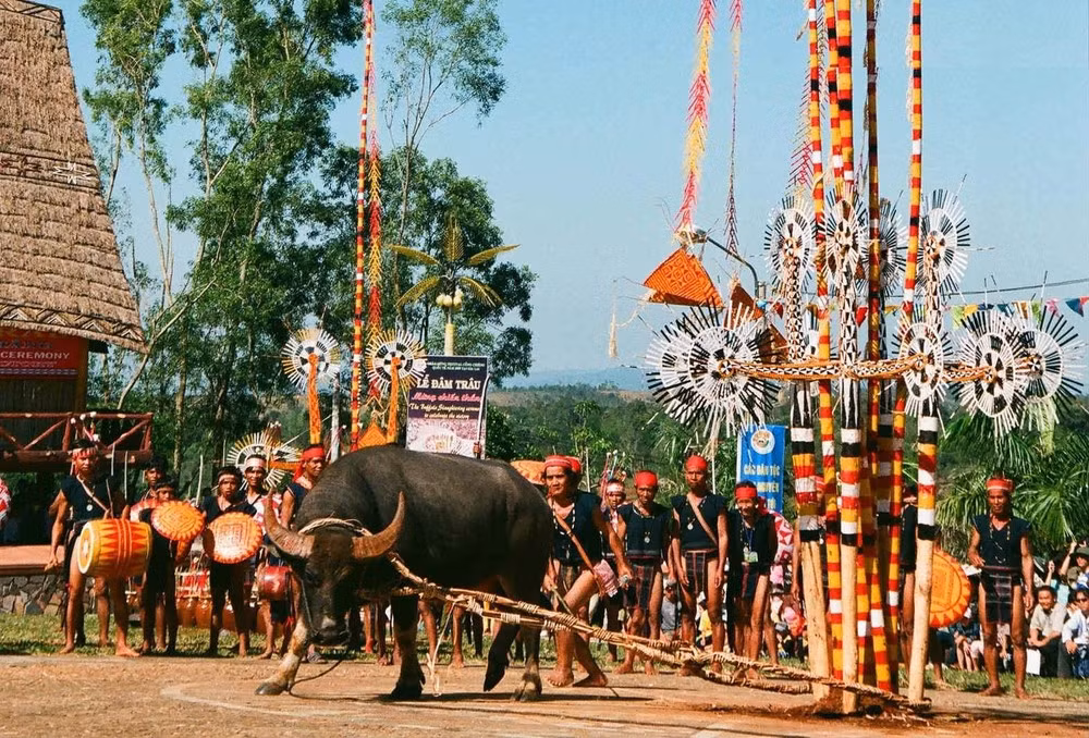 Tổng Bí thư Nguyễn Phú Trọng nhấn mạnh cần tôn trọng và bảo vệ sự biểu đạt đa dạng của văn hóa, của người dân, các dân tộc, các vùng, miền...