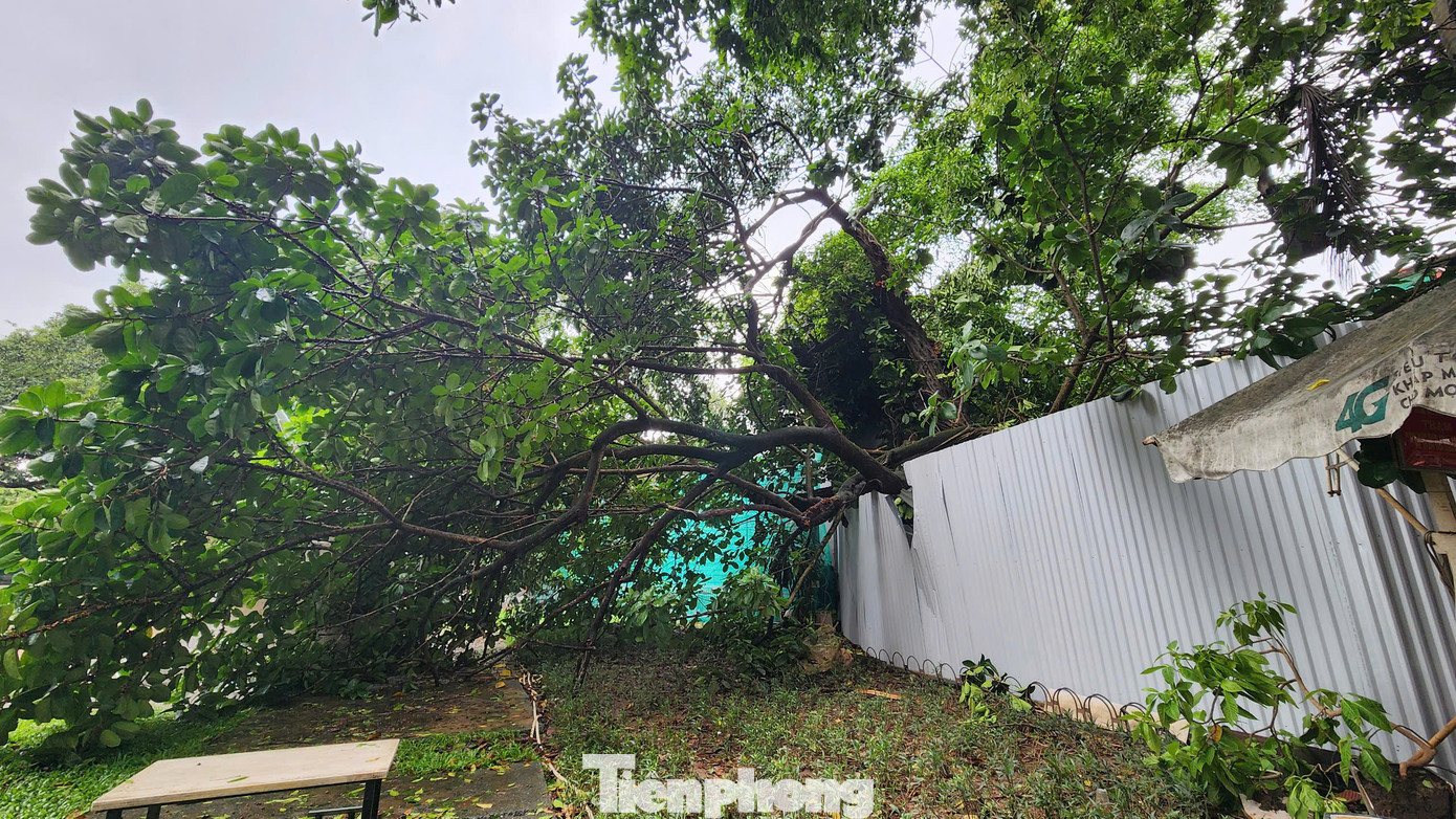 Toàn bộ khu vực đền Bà Kiệu, khu vực cây đa đổ vào đã được quây hàng rào tôn để chờ khắc phục hậu quả. Ảnh: Trọng Quân. Toàn bộ khu vực đền Bà Kiệu, khu vực cây đa đổ vào đã được quây hàng rào tôn để chờ khắc phục hậu quả. Ảnh: Trọng Quân.