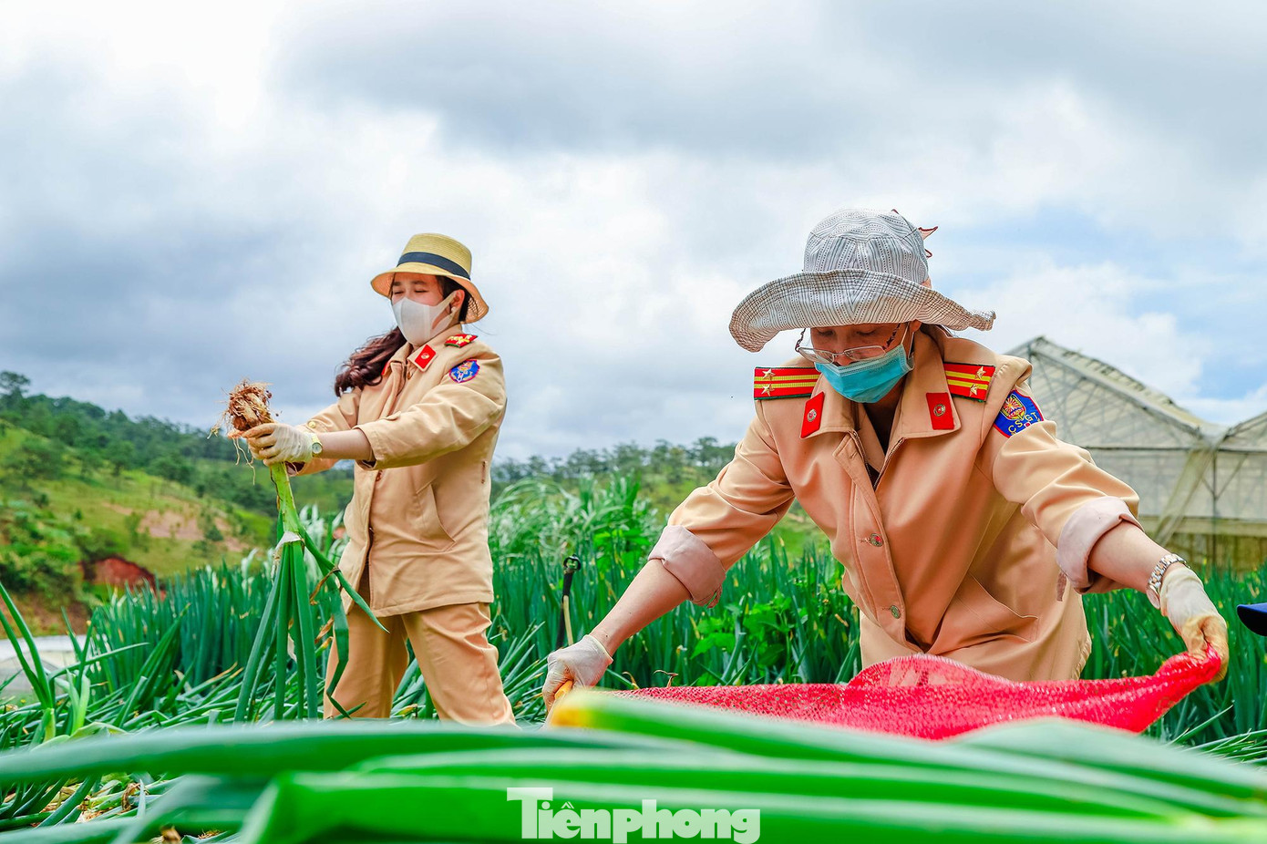 Trước đó, tuổi trẻ công an tỉnh Lâm Đồng cũng đã vận động, vận chuyển hàng chục tấn nông sản, chuyển về thành phố Hồ Chí Minh và Đồng Nai để chung tay giúp đồng bào vùng dịch có thực phẩm thiết yếu hằng ngày để cải thiện bữa ăn, vượt qua những ngày khó khăn vì dịch COVID-19.