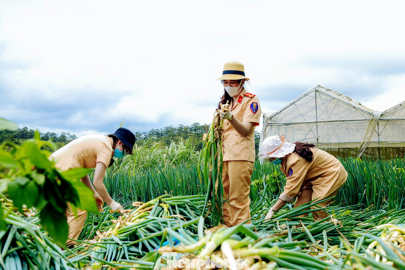 Trong hai ngày 4 - 5/8, cán bộ, đoàn viên thanh niên Công an tỉnh Lâm Đồng đã tham gia thu hoạch rau củ tại các nhà vườn tại thành phố Đà Lạt, và chuẩn bị cho những chuyến xe mang theo nhu yếu phẩm hướng về thành phố Hồ Chí Minh, Khánh Hòa