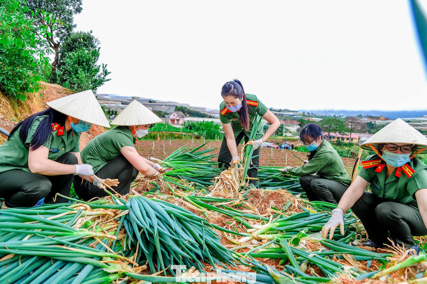 Những ngày hè này, Thượng úy Minh đã ghi lại hình ảnh đồng đội tham gia các hoạt động tình nguyện. Trong đó, có hoạt động tham gia thu hoạch rau củ, vận chuyển chuẩn bị cho những &quot;Chuyến xe yêu thương&quot; do Đoàn Thanh niên và Hội Phụ nữ Công an tỉnh Lâm Đồng tổ chức, gửi tới người dân bị ảnh hưởng dịch COVID-19.