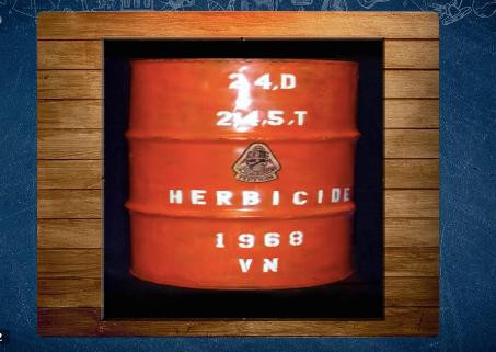 Hình ảnh trong phần thi Vượt chướng ngại vật liên quan đến từ khóa &quot;Da cam&quot;.