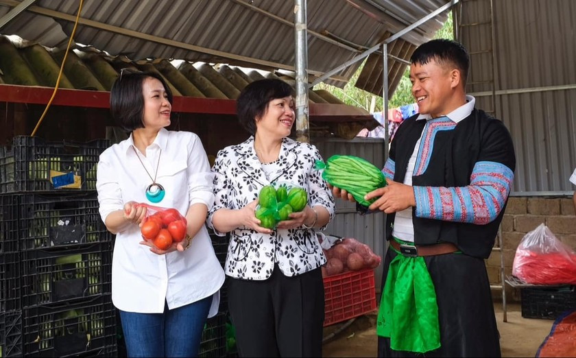 Bà Lê Việt Nga (giữa) đưa doanh nghiệp lên vùng núi, góp phần thay đổi sản xuất kinh doanh ở những vùng khó khăn